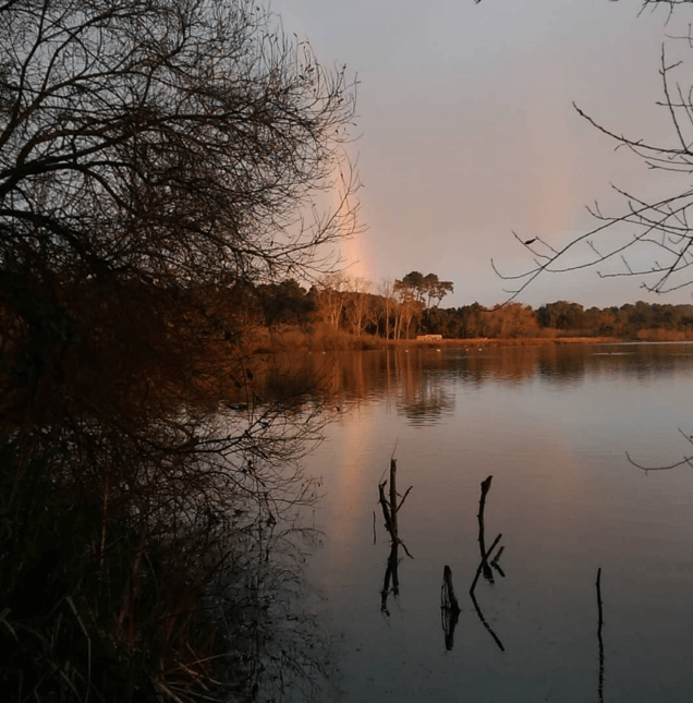 Secteur sud Landes